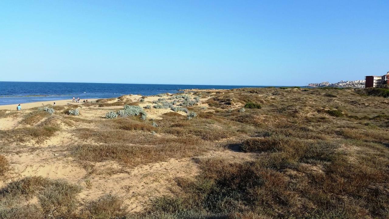 Urbanizacion Puerto Romano - Playa La Mata  Exterior foto